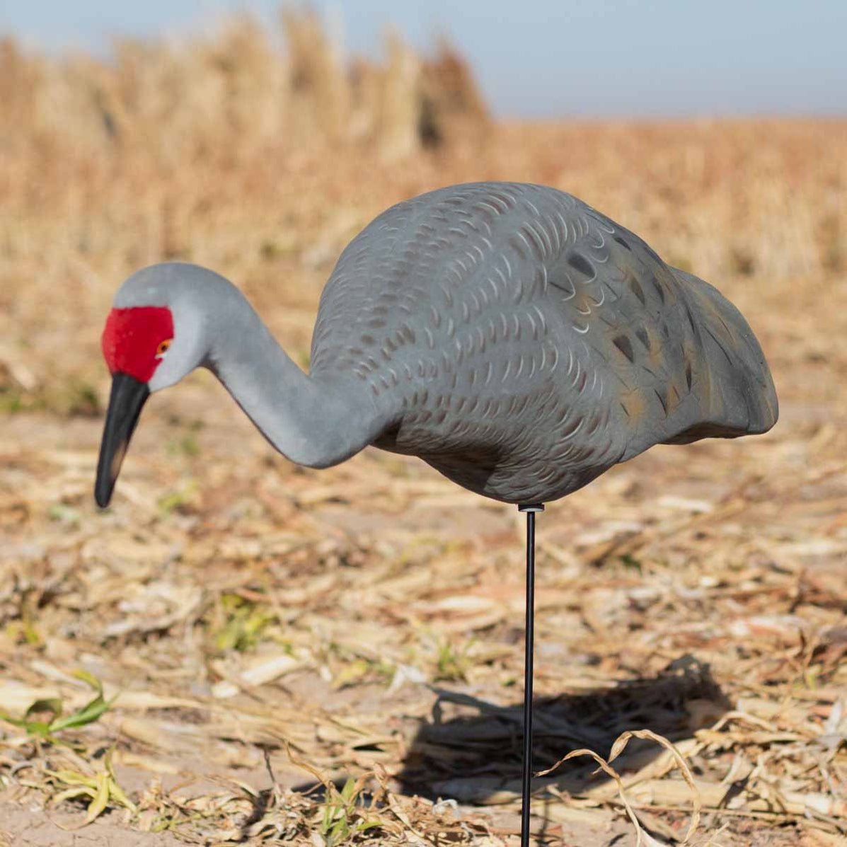 Live Fully Flocked Sandhill Crane Feeders - 2 Pack Hunting Decoys