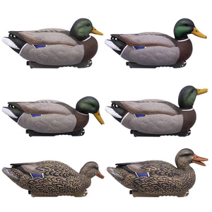 HD Floating Mallards Painted 6 Pack