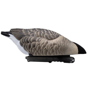 Live Honker Floaters No Head Feeder 2 Pack