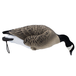 LIVE Fully Flocked Full Body Lesser Canada Geese - 6 pack