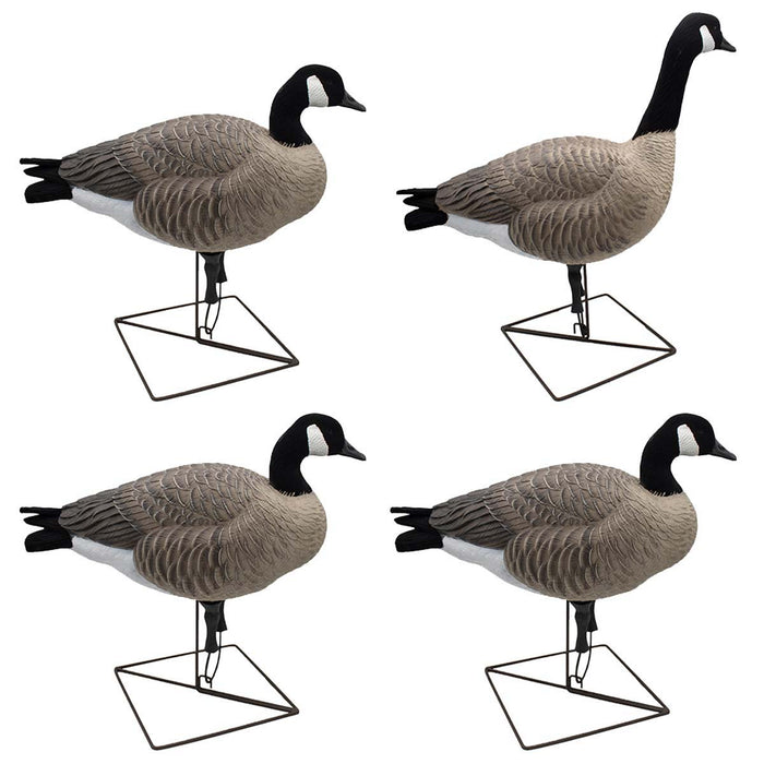 LIVE Full Body Honkers - Uprights 4 Pack