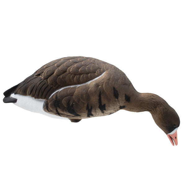 LIVE Full Body Specklebelly Decoys - 6 Pack