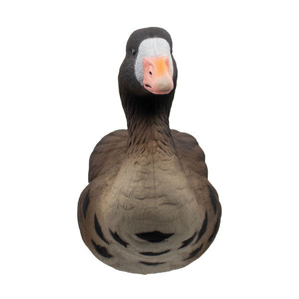 LIVE Full Body Specklebelly Decoys - 6 Pack