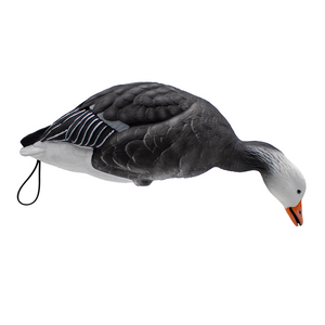 Live Full Body Blue Geese