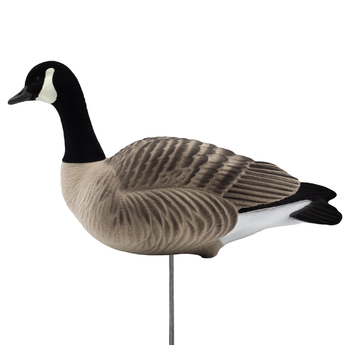 HD Fully Flocked Canada Lessers with 6 Slot Bag