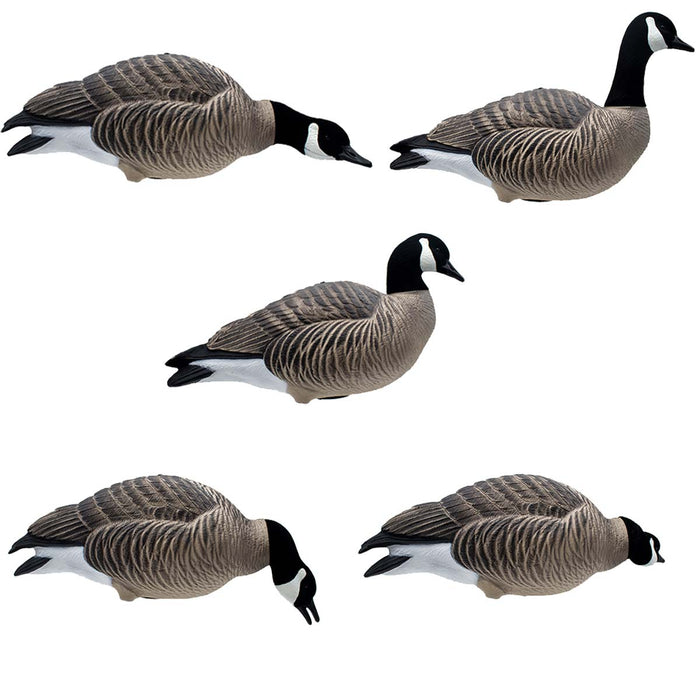 HD Full Body Lesser Canada Geese - 6 Pack